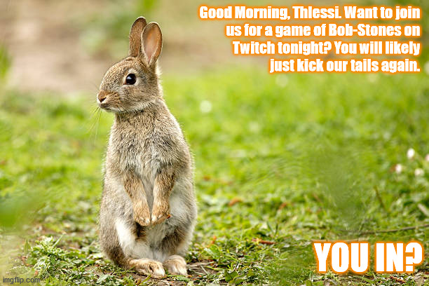 Inspired from Watership Down, Bob-Stones is a game rabbits play. | Good Morning, Thlessi. Want to join 
us for a game of Bob-Stones on 
Twitch tonight? You will likely 
just kick our tails again. YOU IN? | image tagged in rabbit,humor,twitch,games | made w/ Imgflip meme maker