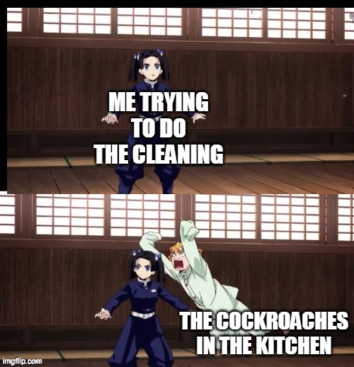 Zenitsu | ME TRYING TO DO THE CLEANING; THE COCKROACHES IN THE KITCHEN | image tagged in zenitsu | made w/ Imgflip meme maker