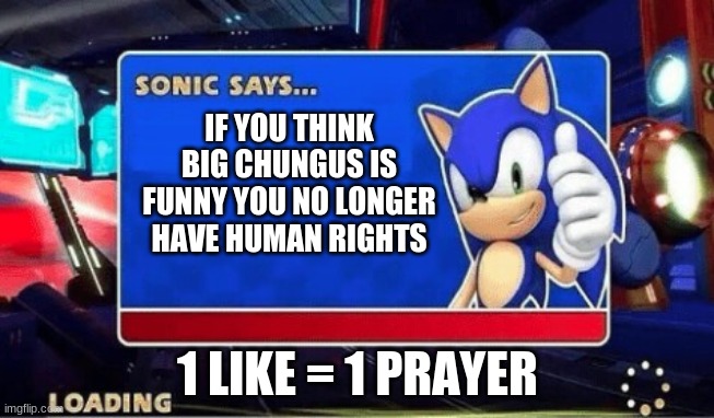 Sonic Says | IF YOU THINK BIG CHUNGUS IS FUNNY YOU NO LONGER HAVE HUMAN RIGHTS; 1 LIKE = 1 PRAYER | image tagged in sonic says | made w/ Imgflip meme maker