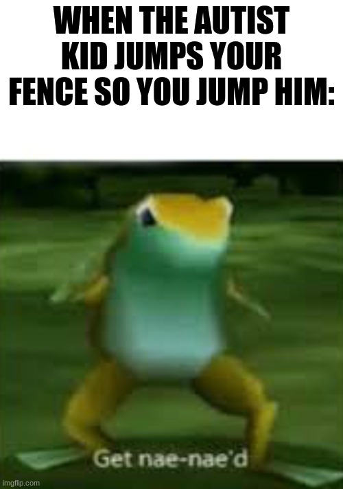 Get nae nae'd | WHEN THE AUTIST KID JUMPS YOUR FENCE SO YOU JUMP HIM: | image tagged in get nae nae'd | made w/ Imgflip meme maker