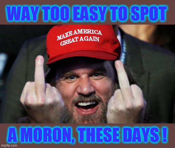 Not too many left, thank God. | WAY TOO EASY TO SPOT; A MORON, THESE DAYS ! | image tagged in trump supporters,fools,trump unfit unqualified dangerous,morons,hate,cult | made w/ Imgflip meme maker