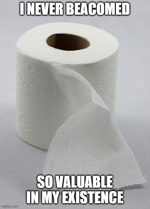 Toilet paper | I NEVER BEACOMED; SO VALUABLE IN MY EXISTENCE | image tagged in toilet paper | made w/ Imgflip meme maker