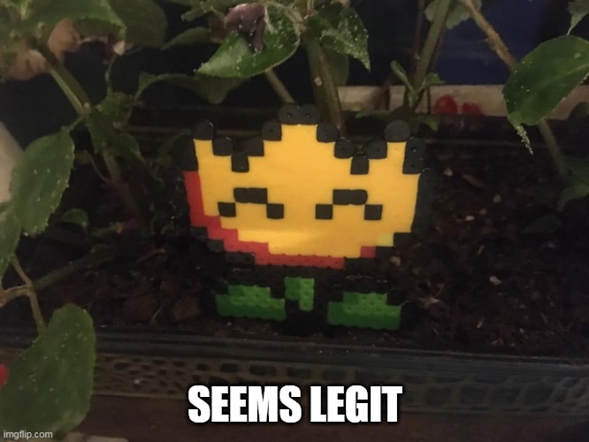 I'D KEEP THAT IN MY GARDEN | SEEMS LEGIT | image tagged in super mario bros,flower,fire | made w/ Imgflip meme maker