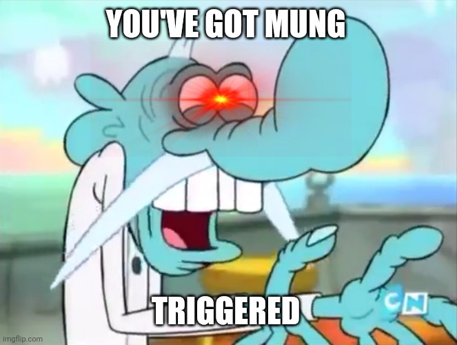 You've Got Mung Triggered | YOU'VE GOT MUNG; TRIGGERED | image tagged in chowder,triggered,angry,reaction | made w/ Imgflip meme maker