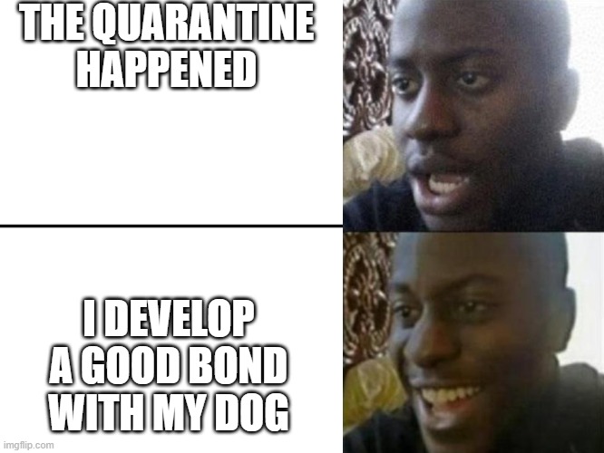 There Can Be Good Things About Quarantine | THE QUARANTINE HAPPENED; I DEVELOP A GOOD BOND WITH MY DOG | image tagged in reversed disappointed black man | made w/ Imgflip meme maker