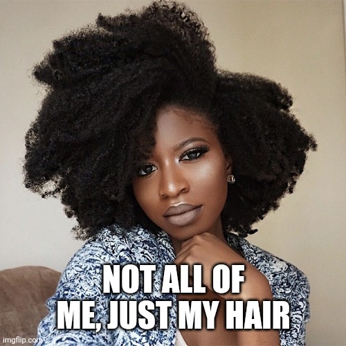 NOT ALL OF ME, JUST MY HAIR | made w/ Imgflip meme maker