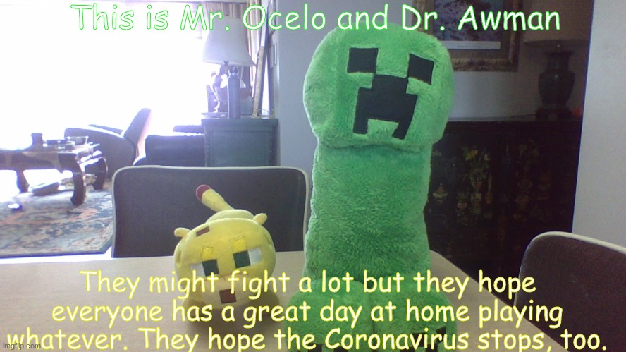 Say hi to Mr. Ocelo and Dr. Awman | This is Mr. Ocelo and Dr. Awman; They might fight a lot but they hope everyone has a great day at home playing whatever. They hope the Coronavirus stops, too. | image tagged in casual,fun | made w/ Imgflip meme maker