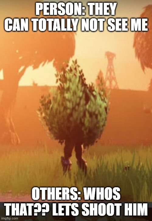 They can't see me | PERSON: THEY CAN TOTALLY NOT SEE ME; OTHERS: WHOS THAT?? LETS SHOOT HIM | image tagged in fortnite bush | made w/ Imgflip meme maker