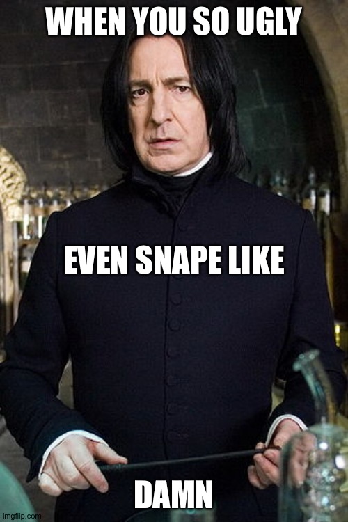 LOL | WHEN YOU SO UGLY; EVEN SNAPE LIKE; DAMN | image tagged in snape,severus snape,harry potter | made w/ Imgflip meme maker