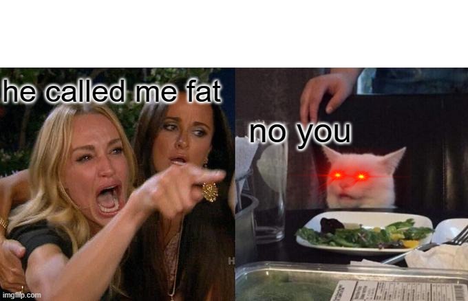 Woman Yelling At Cat Meme | he called me fat; no you | image tagged in memes,woman yelling at cat | made w/ Imgflip meme maker