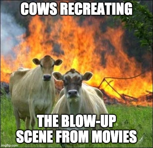 Evil Cows | COWS RECREATING; THE BLOW-UP SCENE FROM MOVIES | image tagged in memes,evil cows | made w/ Imgflip meme maker