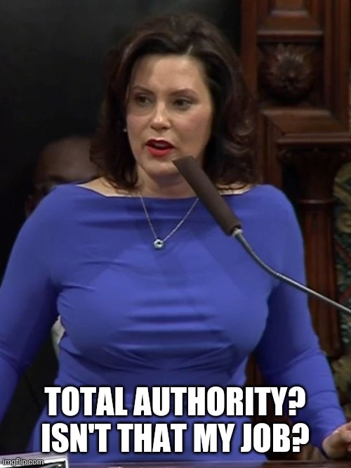 TOTAL AUTHORITY? ISN'T THAT MY JOB? | made w/ Imgflip meme maker