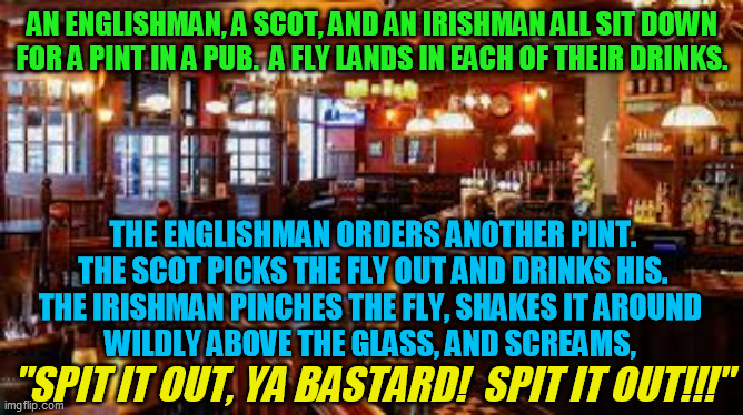 Another fine "walks into a bar joke"  ;-) | AN ENGLISHMAN, A SCOT, AND AN IRISHMAN ALL SIT DOWN FOR A PINT IN A PUB.  A FLY LANDS IN EACH OF THEIR DRINKS. THE ENGLISHMAN ORDERS ANOTHER PINT.
THE SCOT PICKS THE FLY OUT AND DRINKS HIS.
THE IRISHMAN PINCHES THE FLY, SHAKES IT AROUND 
WILDLY ABOVE THE GLASS, AND SCREAMS, "SPIT IT OUT, YA BASTARD!  SPIT IT OUT!!!" | image tagged in pub,guinness,walks into a bar,beer | made w/ Imgflip meme maker