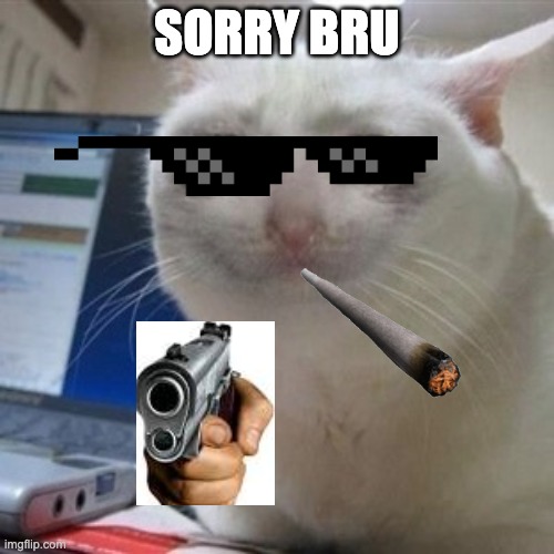 gangsta cat | SORRY BRU | image tagged in crying cat | made w/ Imgflip meme maker