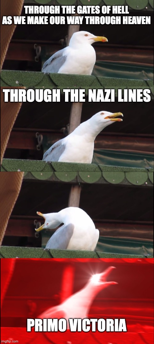 Inhaling Seagull | THROUGH THE GATES OF HELL
AS WE MAKE OUR WAY THROUGH HEAVEN; THROUGH THE NAZI LINES; PRIMO VICTORIA | image tagged in memes,inhaling seagull | made w/ Imgflip meme maker