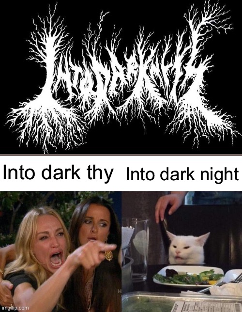 Woman Yelling At Cat | Into dark thy; Into dark night | image tagged in memes,woman yelling at cat | made w/ Imgflip meme maker