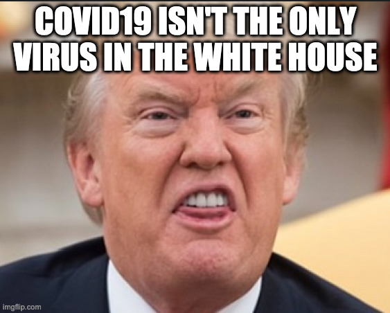 Covid19 | COVID19 ISN'T THE ONLY VIRUS IN THE WHITE HOUSE | image tagged in donald trump | made w/ Imgflip meme maker