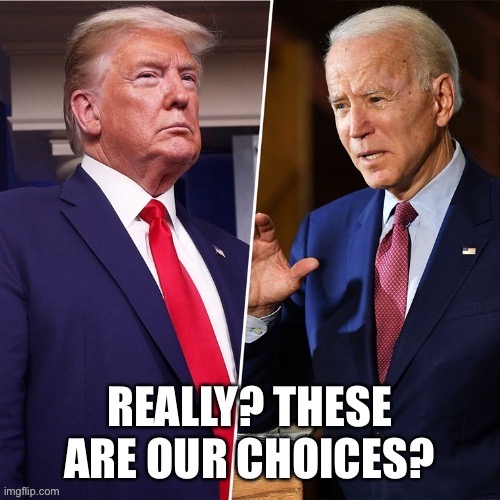 I’m probably voting Biden, but Jesus, America. Could you give us a better choice next time? | image tagged in election 2020,trump,biden,white,old,boomers | made w/ Imgflip meme maker