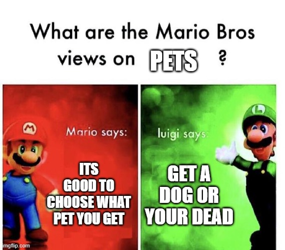 Mario Bros Views | PETS; ITS GOOD TO CHOOSE WHAT PET YOU GET; GET A DOG OR YOUR DEAD | image tagged in mario bros views | made w/ Imgflip meme maker