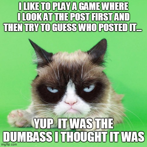 Nope Cat | I LIKE TO PLAY A GAME WHERE I LOOK AT THE POST FIRST AND THEN TRY TO GUESS WHO POSTED IT... YUP  IT WAS THE DUMBASS I THOUGHT IT WAS | image tagged in nope cat | made w/ Imgflip meme maker