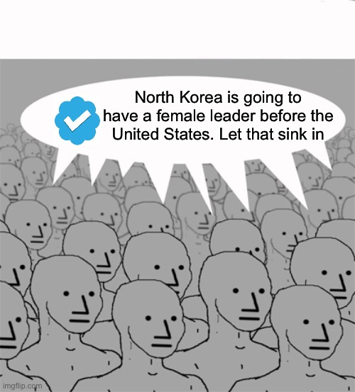 NPCProgramScreed | North Korea is going to have a female leader before the United States. Let that sink in | image tagged in npc,twitter,blue,check,north korea,woman | made w/ Imgflip meme maker