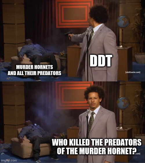 not like there are any predators | DDT; MURDER HORNETS AND ALL THEIR PREDATORS; WHO KILLED THE PREDATORS OF THE MURDER HORNET? | image tagged in memes,who killed hannibal | made w/ Imgflip meme maker