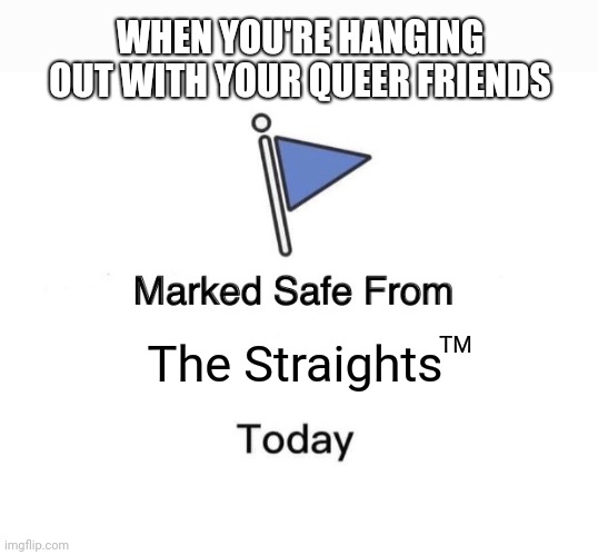Marked safe from The Straights TM | WHEN YOU'RE HANGING OUT WITH YOUR QUEER FRIENDS; The Straights; TM | image tagged in memes,marked safe from,lgbtq,queer | made w/ Imgflip meme maker
