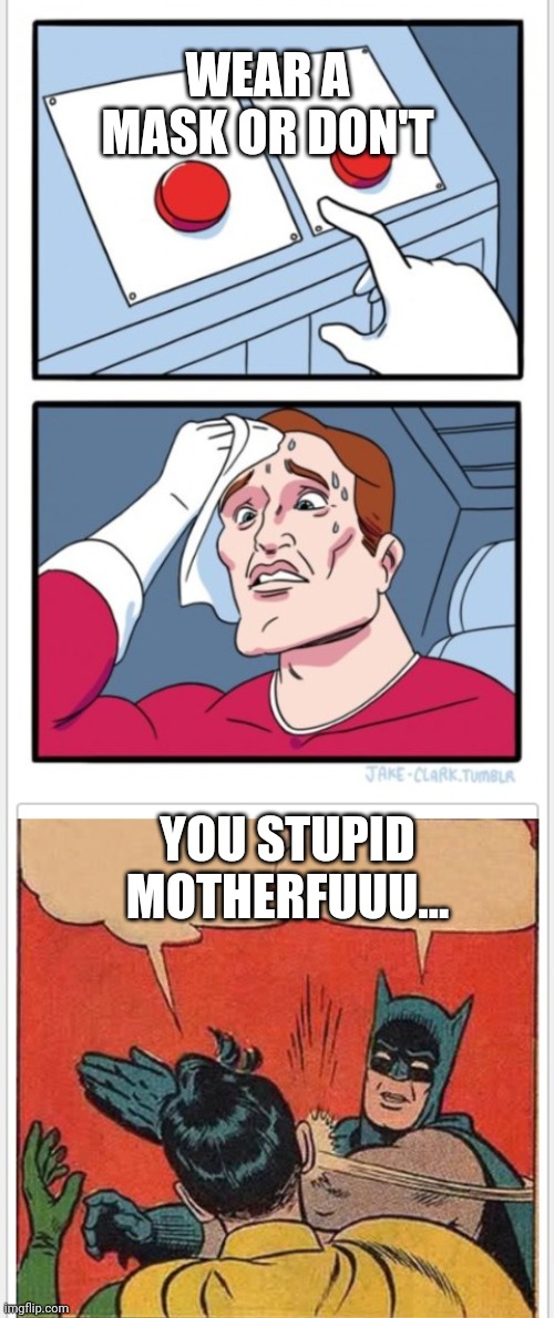 These Days | WEAR A MASK OR DON'T; YOU STUPID MOTHERFUUU... | image tagged in masks | made w/ Imgflip meme maker