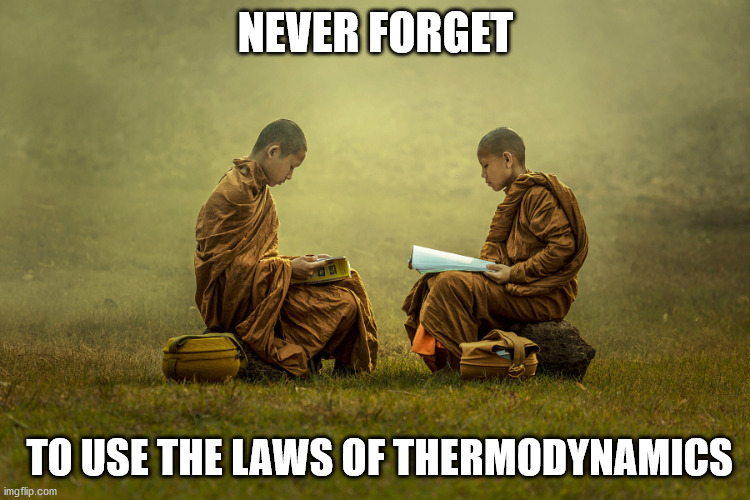 Zen Monks (Young) | NEVER FORGET; TO USE THE LAWS OF THERMODYNAMICS | image tagged in zen monks young | made w/ Imgflip meme maker