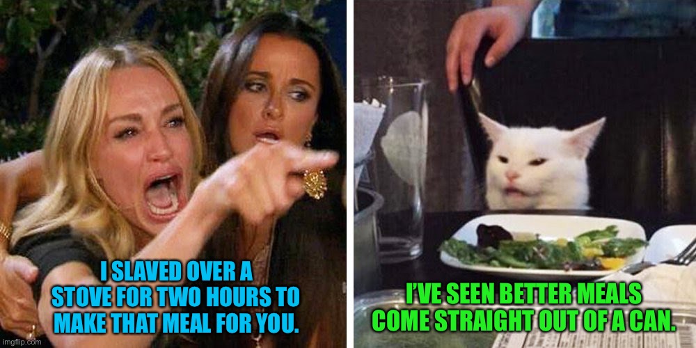 Smudge the cat | I SLAVED OVER A STOVE FOR TWO HOURS TO MAKE THAT MEAL FOR YOU. I’VE SEEN BETTER MEALS COME STRAIGHT OUT OF A CAN. | image tagged in smudge the cat | made w/ Imgflip meme maker