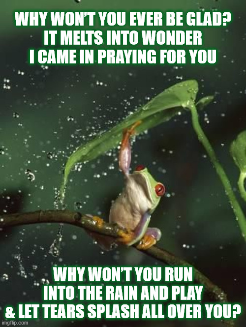 DMB #41 | WHY WON’T YOU EVER BE GLAD?
IT MELTS INTO WONDER
I CAME IN PRAYING FOR YOU; WHY WON’T YOU RUN
INTO THE RAIN AND PLAY
& LET TEARS SPLASH ALL OVER YOU? | image tagged in dmb,dave matthews band,dave matthews,frog,rain,tears | made w/ Imgflip meme maker