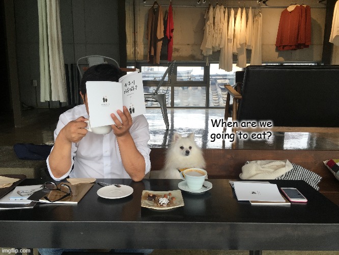 Book Cafe | When are we going to eat? | image tagged in dog,cafe,books | made w/ Imgflip meme maker