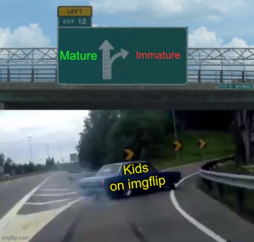 Left Exit 12 Off Ramp Meme | Mature Immature Kids on imgflip | image tagged in memes,left exit 12 off ramp | made w/ Imgflip meme maker