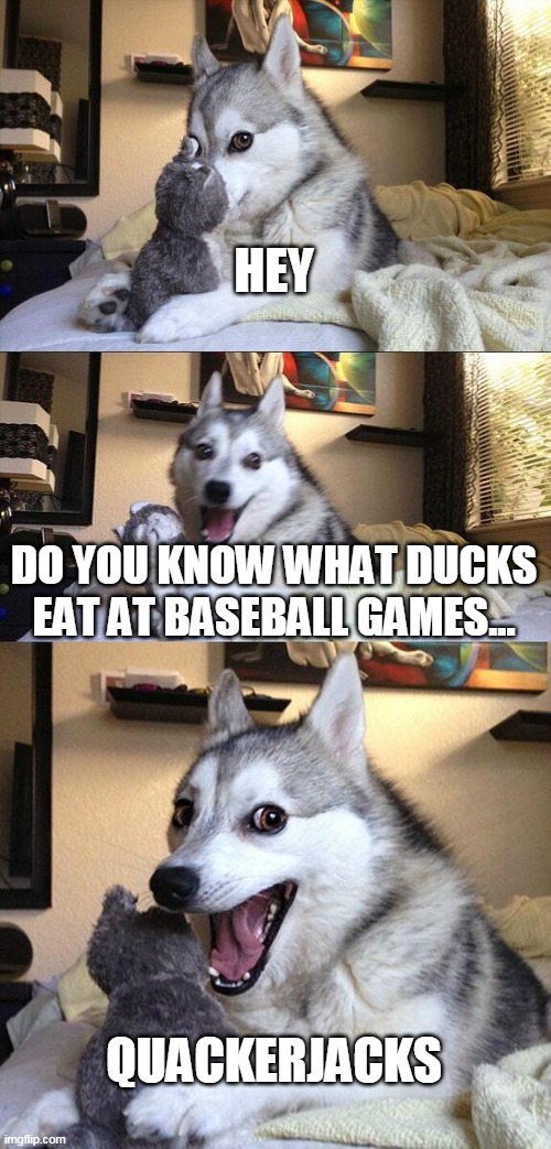 Bad Pun Dog Meme | HEY; DO YOU KNOW WHAT DUCKS EAT AT BASEBALL GAMES... QUACKERJACKS | image tagged in memes,bad pun dog | made w/ Imgflip meme maker