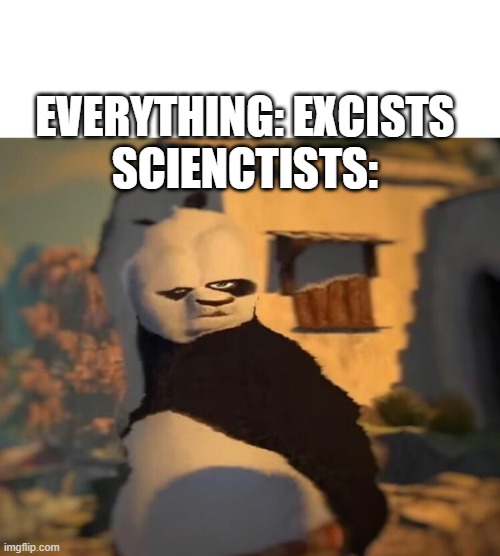 Wot | EVERYTHING: EXCISTS
SCIENCTISTS: | image tagged in drunk kung fu panda | made w/ Imgflip meme maker