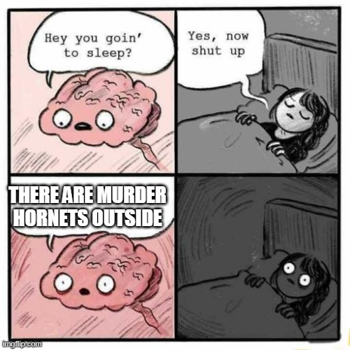 Hey you going to sleep? | THERE ARE MURDER HORNETS OUTSIDE | image tagged in hey you going to sleep | made w/ Imgflip meme maker