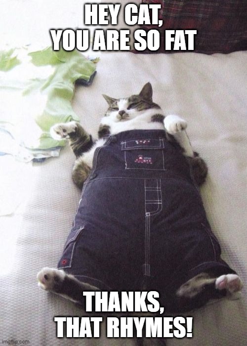 Fat Cat Meme | HEY CAT, YOU ARE SO FAT; THANKS, THAT RHYMES! | image tagged in memes,fat cat | made w/ Imgflip meme maker