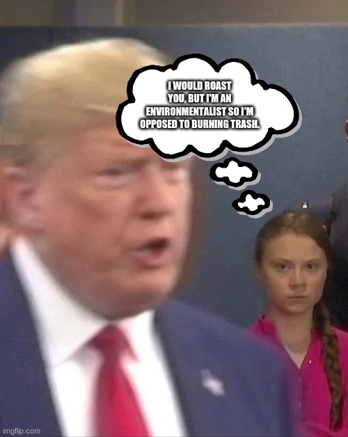 Greta Thunberg's Thoughts on Trump | I WOULD ROAST YOU, BUT I'M AN ENVIRONMENTALIST SO I'M OPPOSED TO BURNING TRASH. | image tagged in greta thunberg stares at donald trump | made w/ Imgflip meme maker