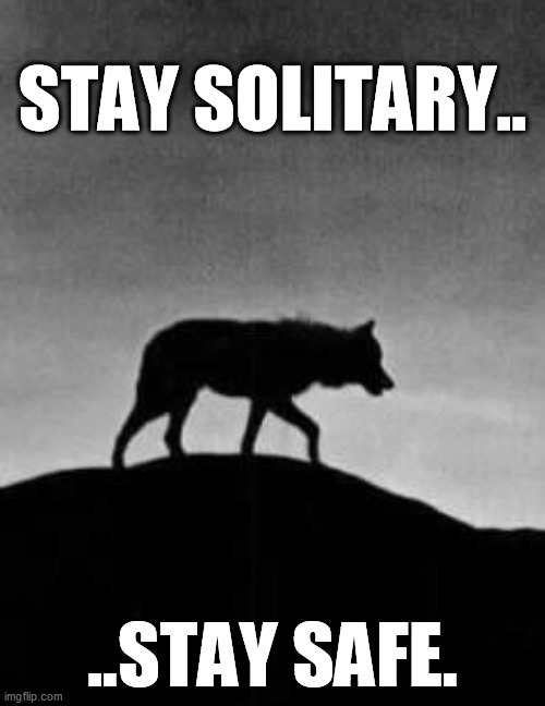 Stay solitary... stay safe. | STAY SOLITARY.. ..STAY SAFE. | image tagged in corona virus,lockdown,covid-19,covid19,covid 19 | made w/ Imgflip meme maker