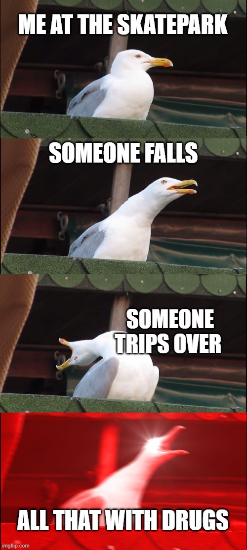 Inhaling Seagull | ME AT THE SKATEPARK; SOMEONE FALLS; SOMEONE TRIPS OVER; ALL THAT WITH DRUGS | image tagged in memes,inhaling seagull | made w/ Imgflip meme maker