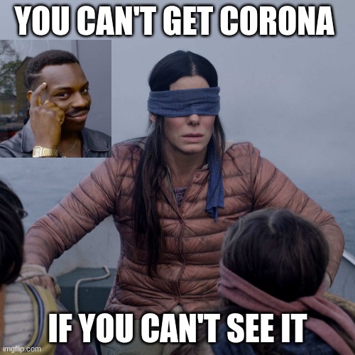 Bird Box | YOU CAN'T GET CORONA; IF YOU CAN'T SEE IT | image tagged in memes,bird box | made w/ Imgflip meme maker