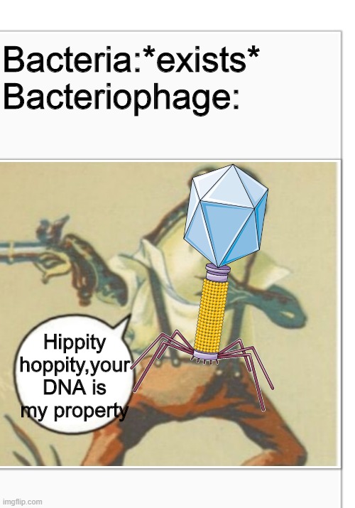 Hippity Hoppity (blank) | Bacteria:*exists*
Bacteriophage:; Hippity hoppity,your DNA is my property | image tagged in hippity hoppity blank,biology,science | made w/ Imgflip meme maker