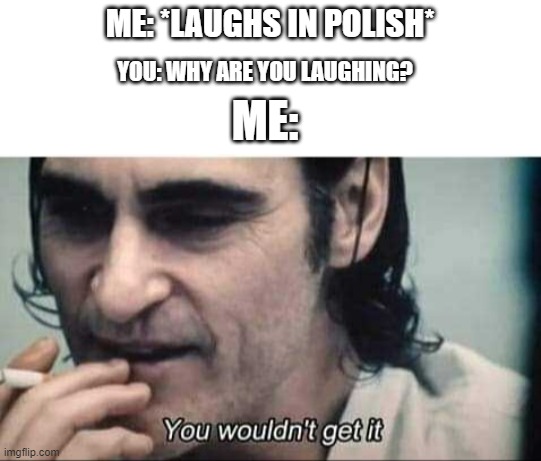 You wouldn't get it | ME: *LAUGHS IN POLISH* YOU: WHY ARE YOU LAUGHING? ME: | image tagged in you wouldn't get it | made w/ Imgflip meme maker