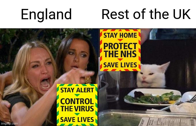 Stay Alert Stay Home | England; Rest of the UK | image tagged in memes,woman yelling at cat,stay home,stay alert,coronavirus,coronavirus meme | made w/ Imgflip meme maker
