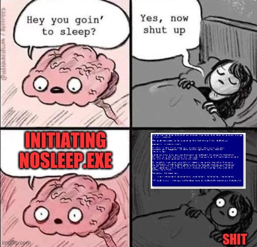 waking up brain | INITIATING NOSLEEP.EXE; SHIT | image tagged in waking up brain | made w/ Imgflip meme maker