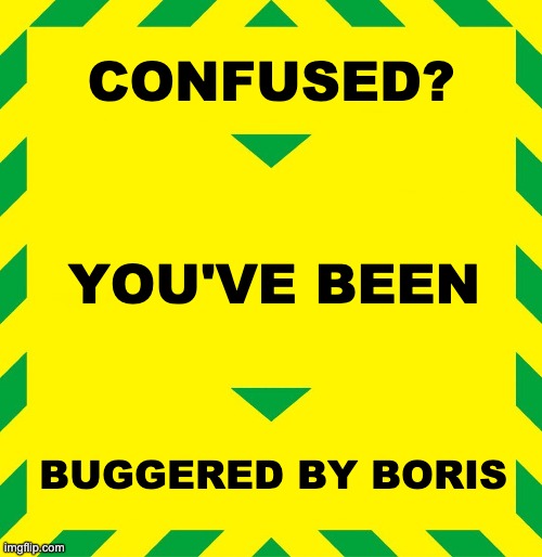 Stay Alert | CONFUSED? YOU'VE BEEN; BUGGERED BY BORIS | image tagged in stay alert | made w/ Imgflip meme maker