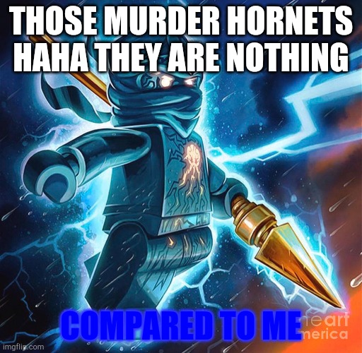 Jay | THOSE MURDER HORNETS HAHA THEY ARE NOTHING; COMPARED TO ME | image tagged in ninjago,jay,murder hornet | made w/ Imgflip meme maker