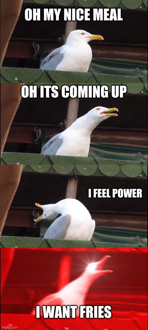 Inhaling Seagull | OH MY NICE MEAL; OH ITS COMING UP; I FEEL POWER; I WANT FRIES | image tagged in memes,inhaling seagull | made w/ Imgflip meme maker
