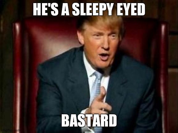 Donald Trump | HE'S A SLEEPY EYED BASTARD | image tagged in donald trump | made w/ Imgflip meme maker