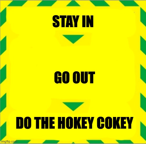 Hokey Cokey Virus Instruction | STAY IN; GO OUT


    
  


DO THE HOKEY COKEY | image tagged in stay alert  control the virus  save lives | made w/ Imgflip meme maker